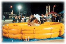 mechanical-bull.jpg