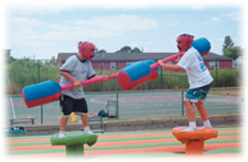 pedestal-jousting2.jpg
