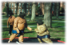sumo-wrestling.jpg