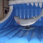 Mechanical Shark