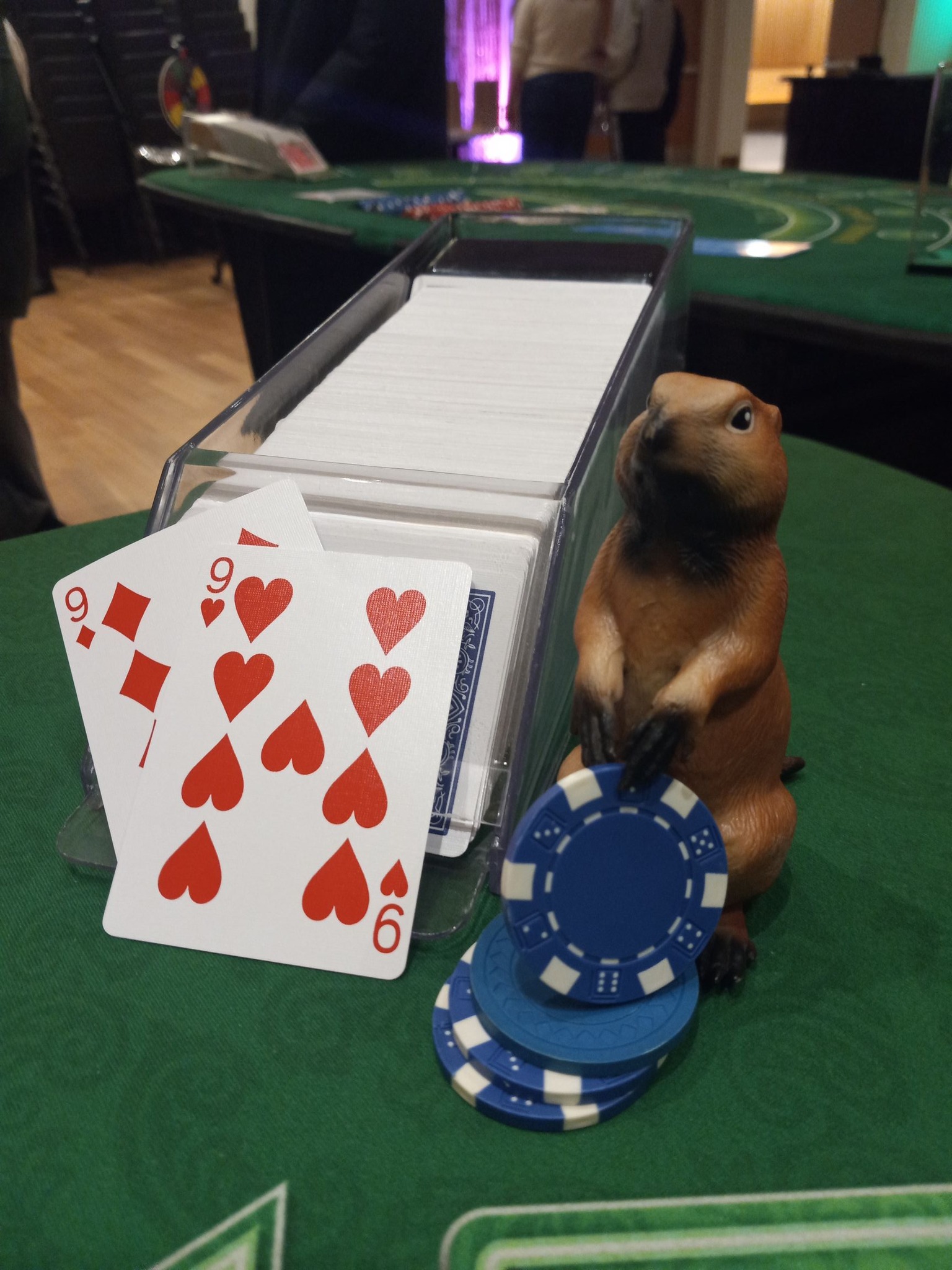 Gilbert the Ground Hog